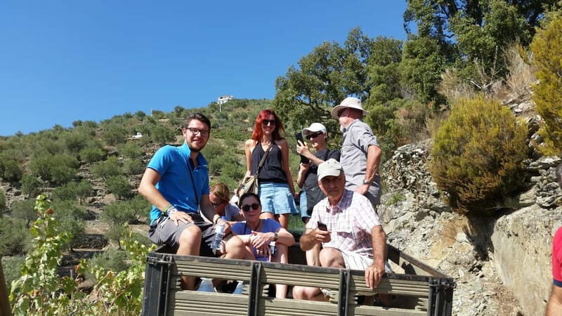 Small Group: Douro Valley Wine Tasting from Porto - Key Points