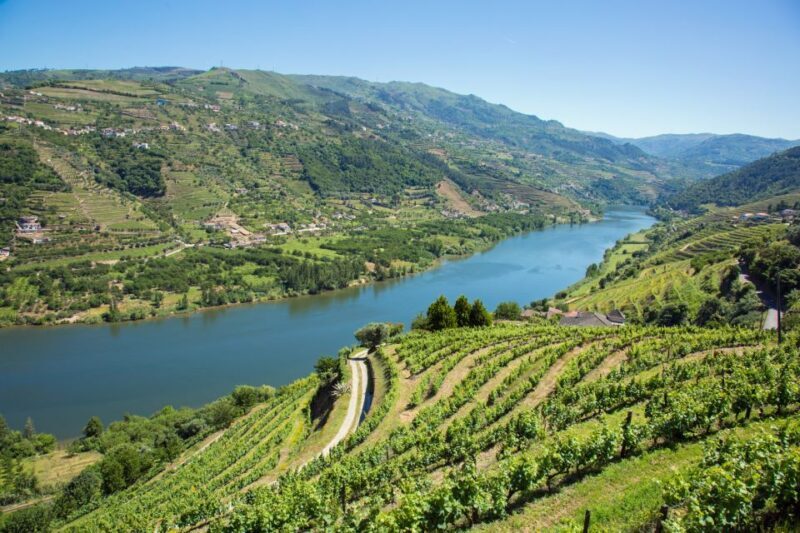 Small Group: Douro Valley Wine Tasting from Porto - Final Thoughts