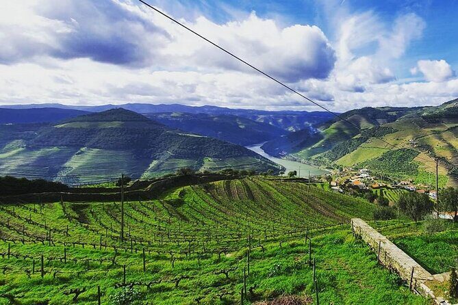 Small Group Douro Wine Valley Tour with Lunch and Wine Tasting - The Itinerary in Detail