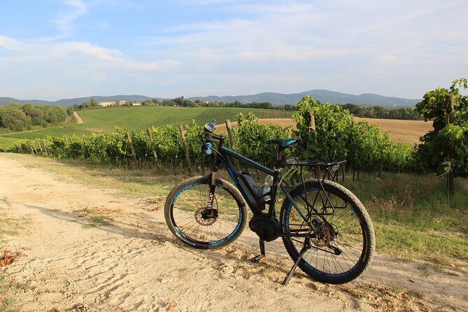 Small Group E-Bike Chianti Tour with farm lunch from Siena - The Ride Through Chianti’s Iconic Landscape