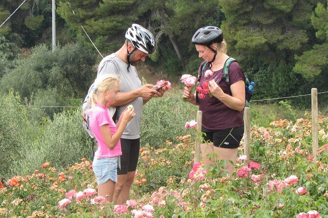 Small Group E-bike Tour in the Ligurian Riviera with Lunch - Key Points
