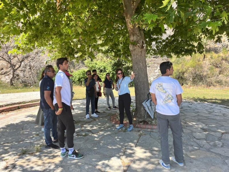 Small Group Ephesus Tour for Cruise Passengers - Why Choose the Small Group Ephesus Tour?