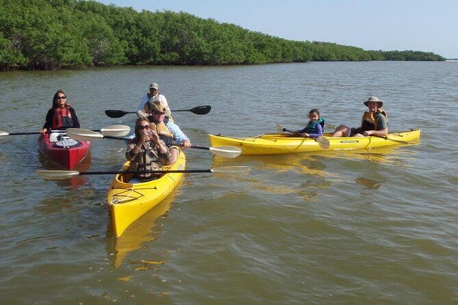 Small-Group Everglades Boating Kayaking and Walking Eco Tour - Final Thoughts: Is It Worth It?
