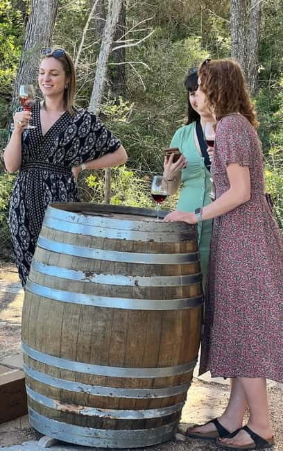 Small group- Exclusive Olive Oil & Wine Tour Mallorca - FAQ