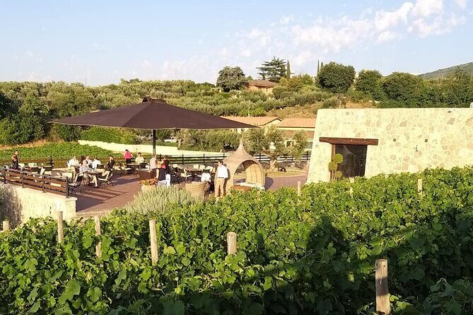 Small-Group Exclusive Winery and Wine Tasting Tour in Frascati - An In-Depth Look at the Frascati Winery Tour