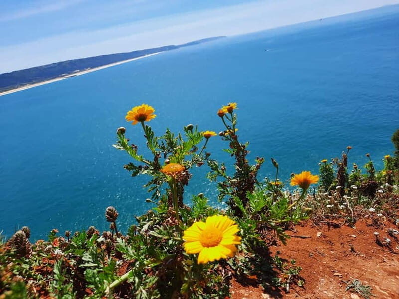Small Group Excursion to Nazaré, Alcobaça and Obidos from Lisbon - FAQ