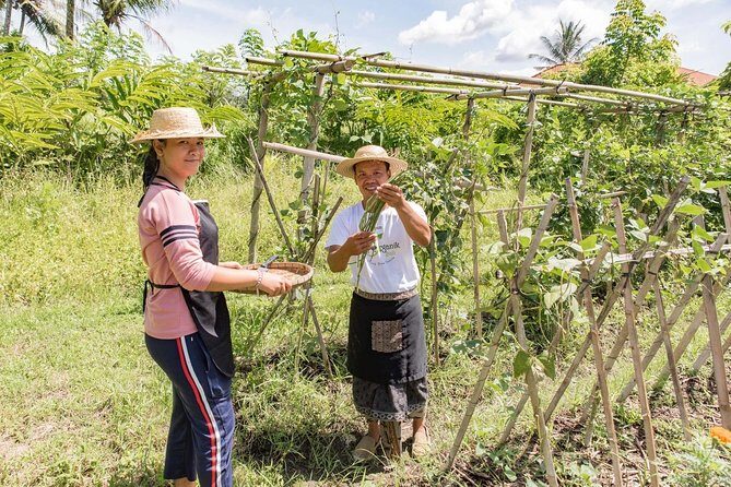 Small-Group Farm Tour & Balinese Cooking Class in Ubud with Kadek - An In-Depth Look at the Ubud Farm & Cooking Class