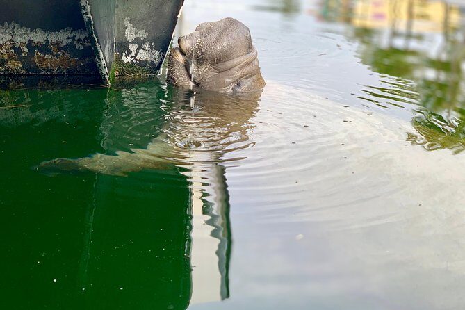 Small Group Florida Keys Eco Tour by Boat - Key Points