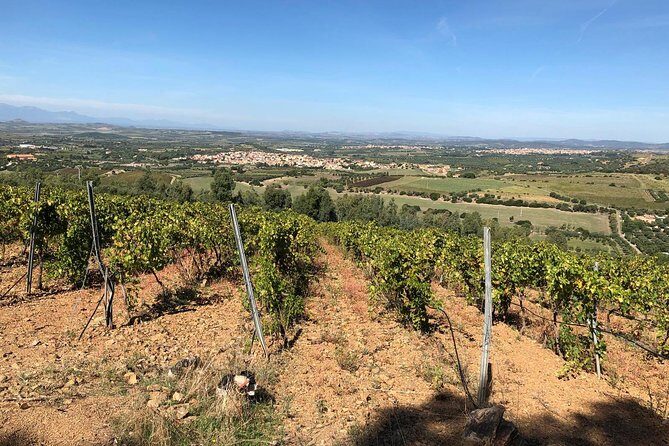 Small-Group Food and Wine Tour from Cagliari - Who Will Love This Tour?