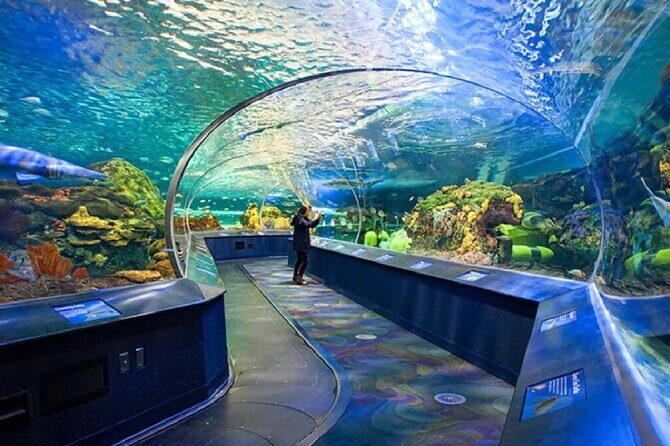 Small Group Four Day Toronto Montreal Ottawa Quebec Tour - Day 4: Toronto’s Film, Food, and Skyline