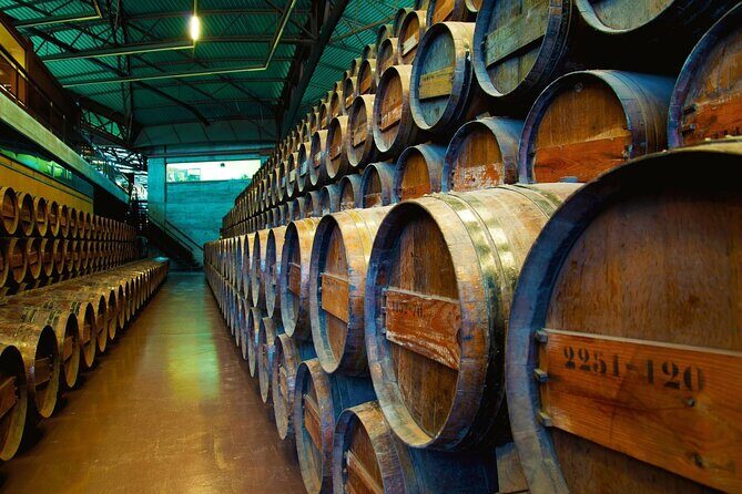 Small Group Full-Day Arrábida Wine Tour and Food Tasting - FAQ
