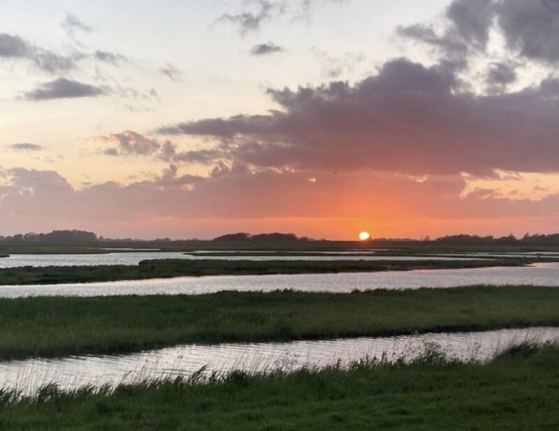 Small group full day island tour to Texel from Amsterdam - A Deep Dive into the Texel Experience