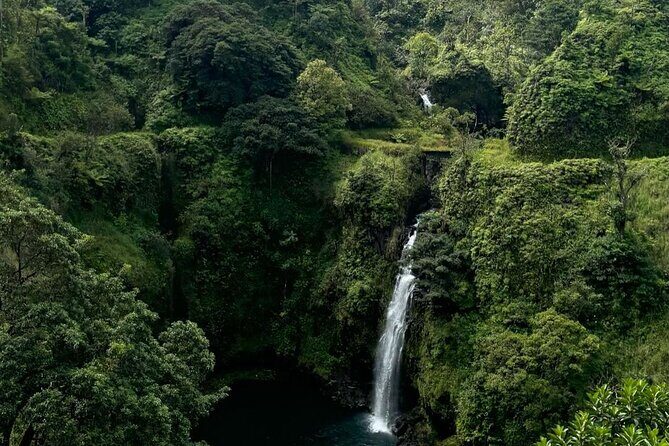 Small Group Full Day Road to Hana Adventure - Why You’ll Love This Tour