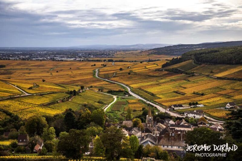 Small group full day tour in the Burgundy vineyards - Key Points
