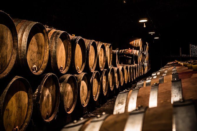 Small-Group Full-Day Tour of Côte de Nuits, Côte de Beaune Vineyards and Beaune Historical District - Exploring Burgundy: A Closer Look at the Experience