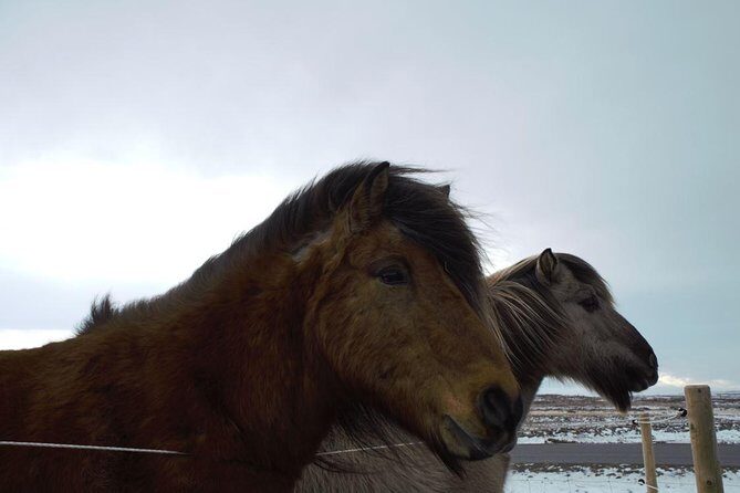 Small-Group Golden Circle Full-Day Tour from Reykjavik - Final Thoughts