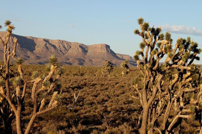 Small Group Grand Canyon, Hoover Dam and 7 Magic Mountains Tour - Who Will Love This Tour?