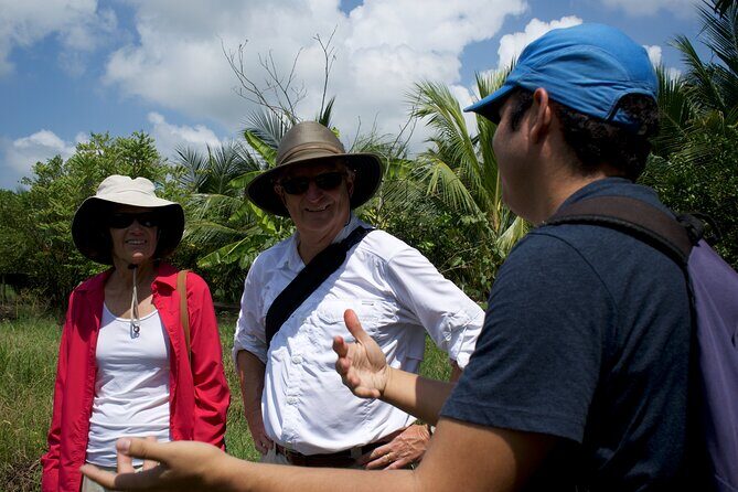 Small Group Guayaquil and Cocoa Farm Full-Day Tour - A Detailed Look at What This Tour Offers