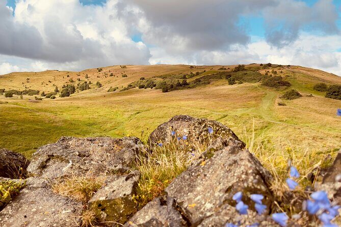Small-Group Guided Hike of Arthur's Seat and Holyrood Park - The Sum Up