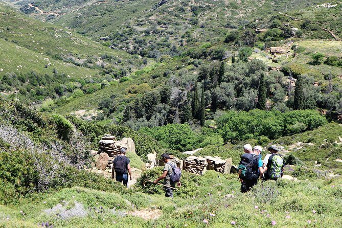 Small-Group Guided Hiking Tour in Andros with picnic on the beach - Exploring Andros: A Genuine Greek Experience
