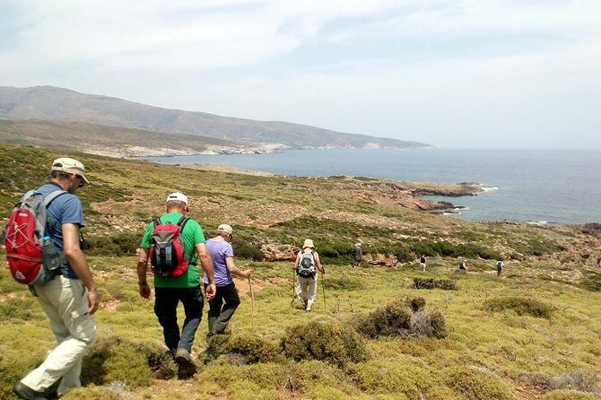 Small-Group Guided Hiking Tour in Andros with picnic on the beach - Who Should Consider This Experience?