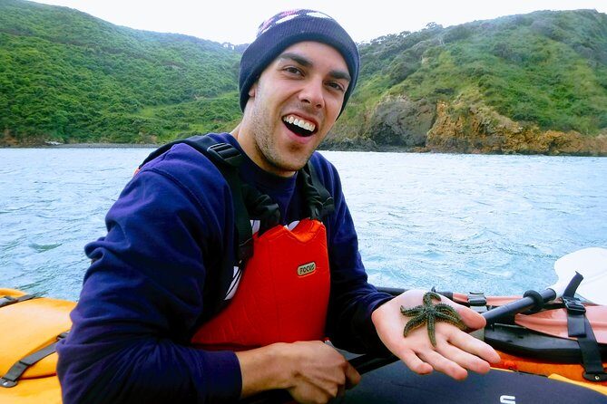 Small group guided sea kayaking in Akaroa marine reserve - Exploring the Akaroa Marine Reserve by Kayak: An Authentic Adventure