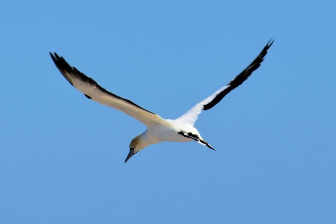 Small group guided sea kayaking in Akaroa marine reserve - Final thoughts