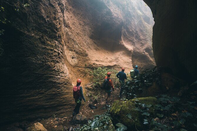 Small-Group Half-Day Canyoning in La Orotava - Authentic Reviews and What Travelers Say