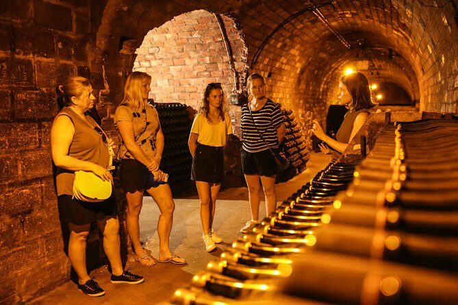 Small Group - Half Day Champagne Tour - Visit of 2 Small Producers/Growers - Wrapping Up