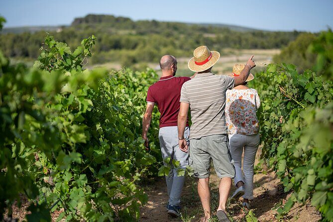 Small-Group Half-Day Châteaux of Montpellier Wine Tour - Tasting the Wines