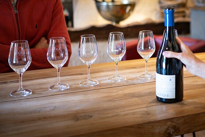 Small-Group Half-Day Châteaux of Montpellier Wine Tour - Who Should Consider This Tour?