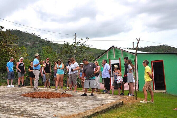 Small Group: Half-Day Cultural Tour of Punta Cana - The Sum Up: Who Is This Tour Best For?