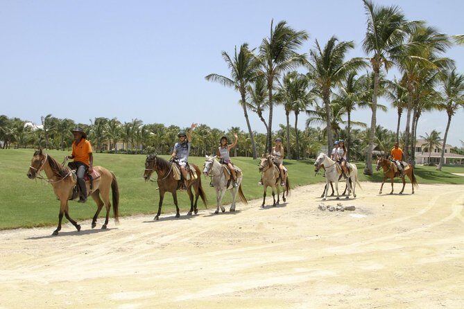 Small-Group Half-Day Horseback Riding Tour from Punta Cana - An In-Depth Look at the Horseback Riding Experience in Punta Cana