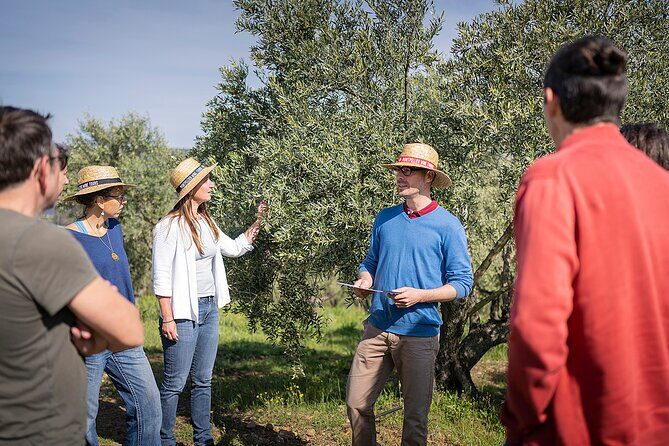 Small-Group Half-Day Languedoc Wine and Olive Tour from Montpellier - Who Would Enjoy This Tour?
