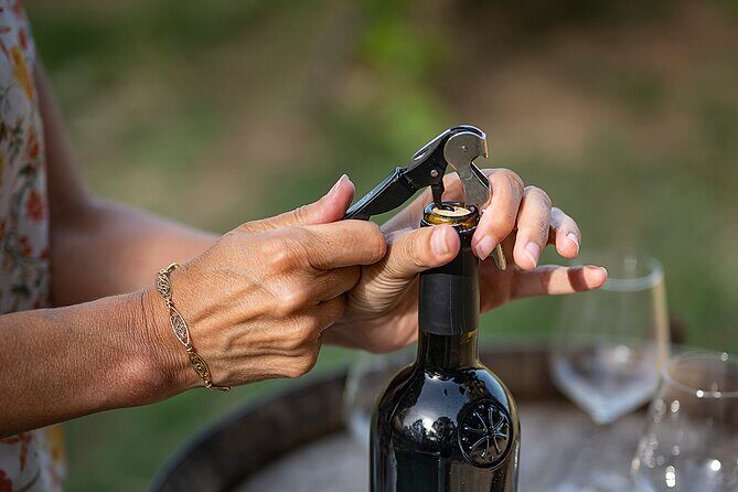 Small-Group Half-Day Languedoc Wine and Olive Tour from Montpellier - FAQ