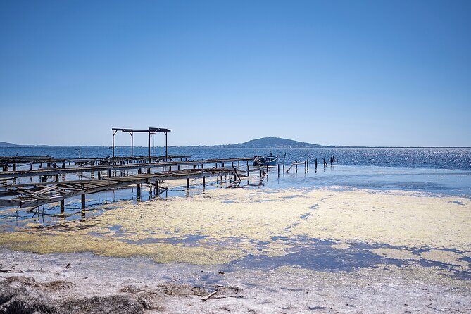 Small-Group Half-Day Languedoc Wine and Oyster Tour from Montpellier - A Deep Dive into the Small-Group Languedoc Wine and Oyster Tour