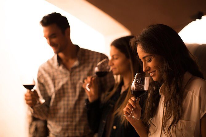 Small-Group Half Day Tour to Concha y Toro Winery - Small-Group Half Day Tour to Concha y Toro Winery: A Genuine Taste of Chile’s Wine Heritage