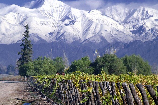 Small-Group Half Day Tour to Concha y Toro Winery - Key Points