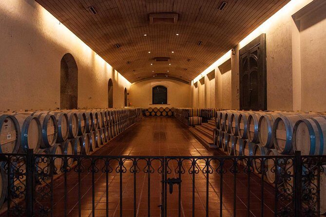Small-Group Half Day Tour to Concha y Toro Winery - Who Should Consider This Tour?