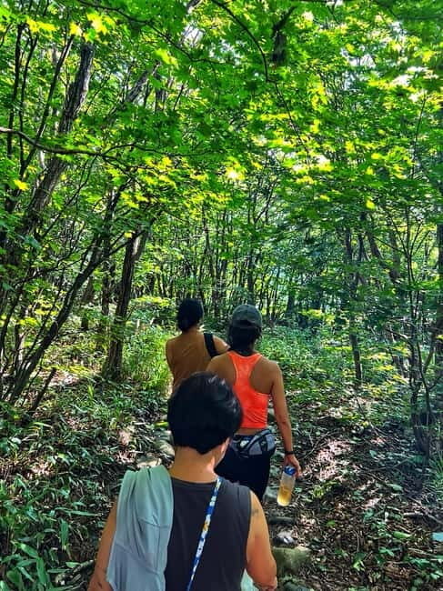 Small Group Hike on Mt. Bukhans Secret Paths & Local Lunch - FAQ