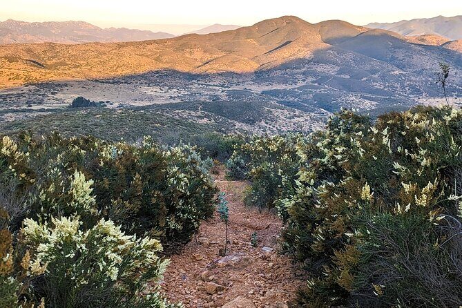 Small Group Hike Through San Diego's Heart and Soul - Small Group Hike Through San Diegos Heart and Soul