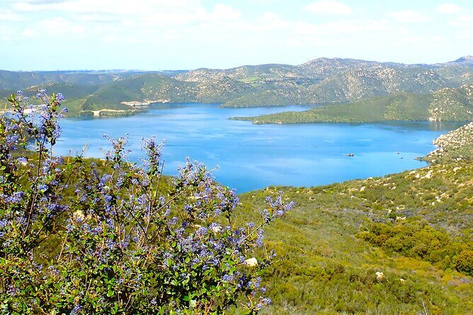 Small Group Hike Through San Diego's Heart and Soul - A Close Look at the Experience
