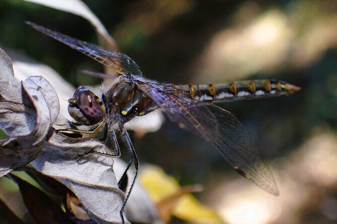 Small Group Hike Through San Diego's Heart and Soul - Final Thoughts