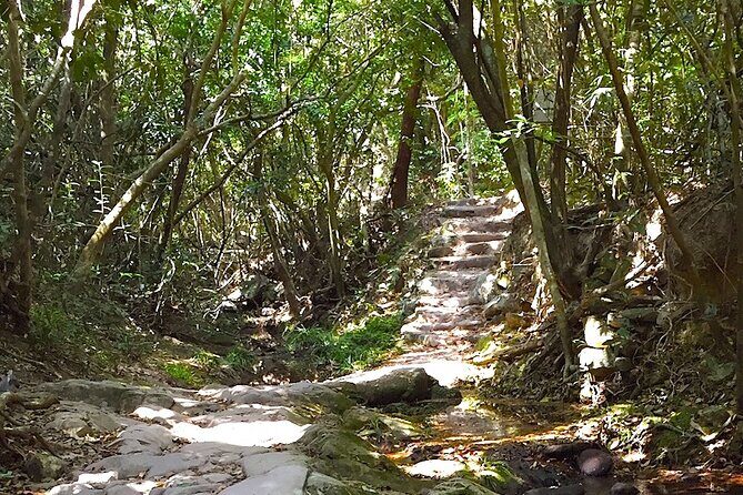 Small Group Hiking Day Tour to Lai Chi Wo - Authenticity, Value, and Who Will Love This Tour