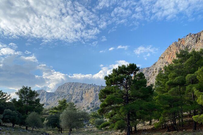 Small Group Hiking in Lindos - Who Will Love This Tour?