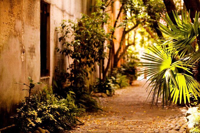 Small Group Historic Charleston walking Tour - Charm and Contrasts on Tradd Street