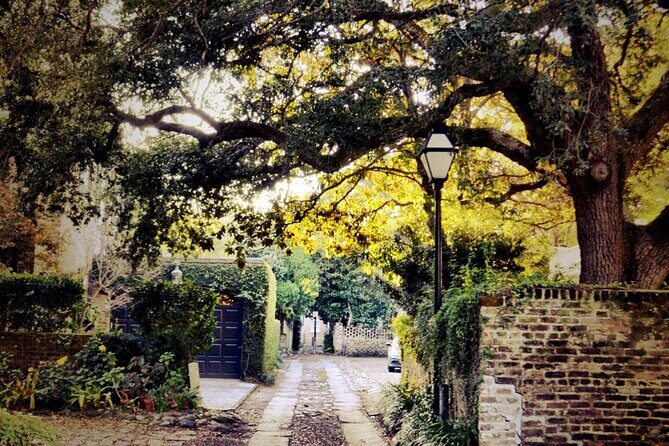 Small Group Historic Charleston walking Tour - Analyzing Value