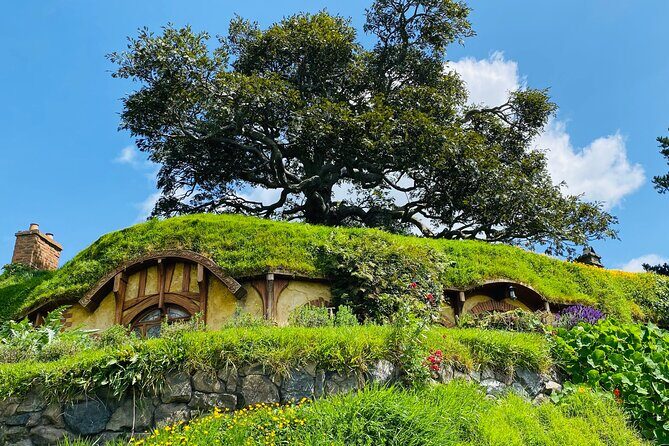 Small Group Hobbiton Movie Set from Tauranga - Exploring the Hobbiton Movie Set Tour: What to Expect
