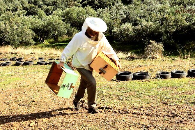 Small-Group Honey & Extra Virgin Olive Oil Tasting Tour in Crete - Small-Group Honey & Extra Virgin Olive Oil Tasting Tour in Crete