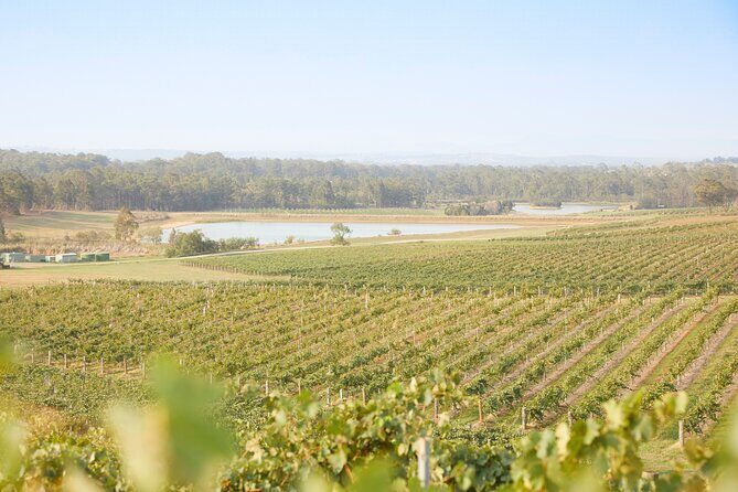 Small Group Hunter Valley Wine Tour w Lunch, Gin, Cheese & Choc - Final Thoughts